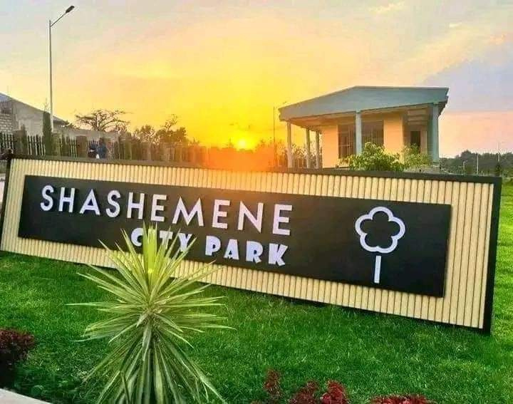 Shashemenne city Park 